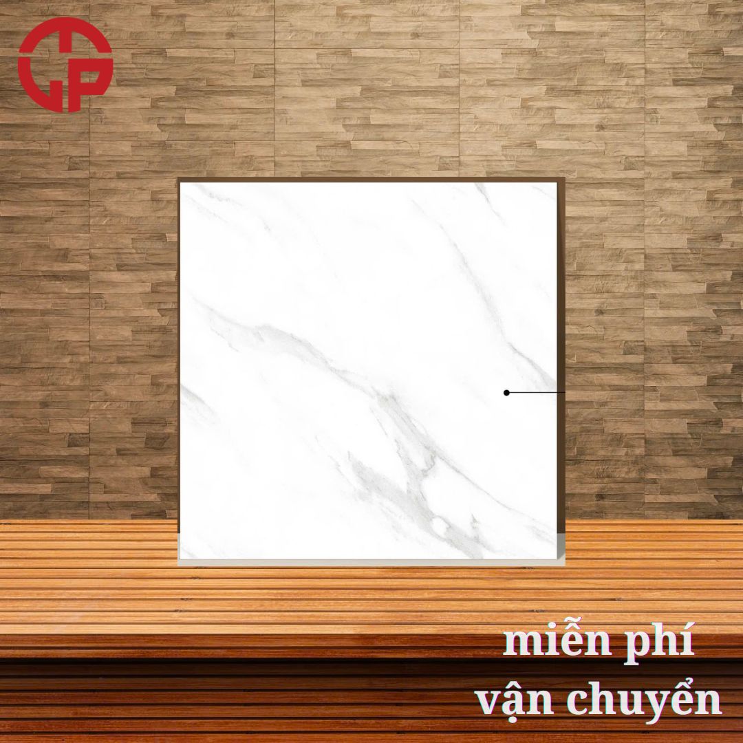 Gạch lát sàn nhà 60x60 LTP02 VC66006 3 260k-gach-lat-san-nha-6060-TK-VC66006