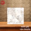Gạch lát nền 80x80 LTP01 80073 1 270k-gach-lat-nen-80x80-CTL-80073