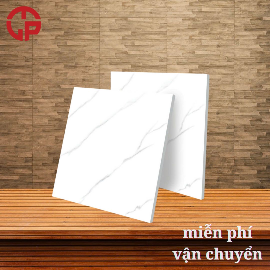Gạch lát nền 60x60 LTP22 TQA 66602 3 160k-gach-lat-nen-60x60-BT-TQA-66602