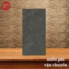 Gạch nhám matt 300x600 LTP20 36006 1 180k-gach-nham-matt-600x600-Viet-Y-36006