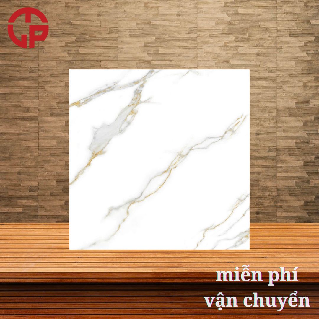 Gạch lát nền 80x80 LTP22 TQA 8810 3 185k-Gach-lat-nen-80x80-BT-TQA-8810