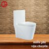 Bồn cầu LTP 03 1 1900k-Bon-Cau-LTP-03