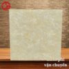 Gạch lát nền 60x60 LTP05 CB66010 1 110k-gach-lat-nen-60x60-TTC-CB66010
