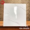 Gạch lát nền 60x60 LTP05 CB66024 2 110k-gach-lat-nen-60x60-TTC-CB66024