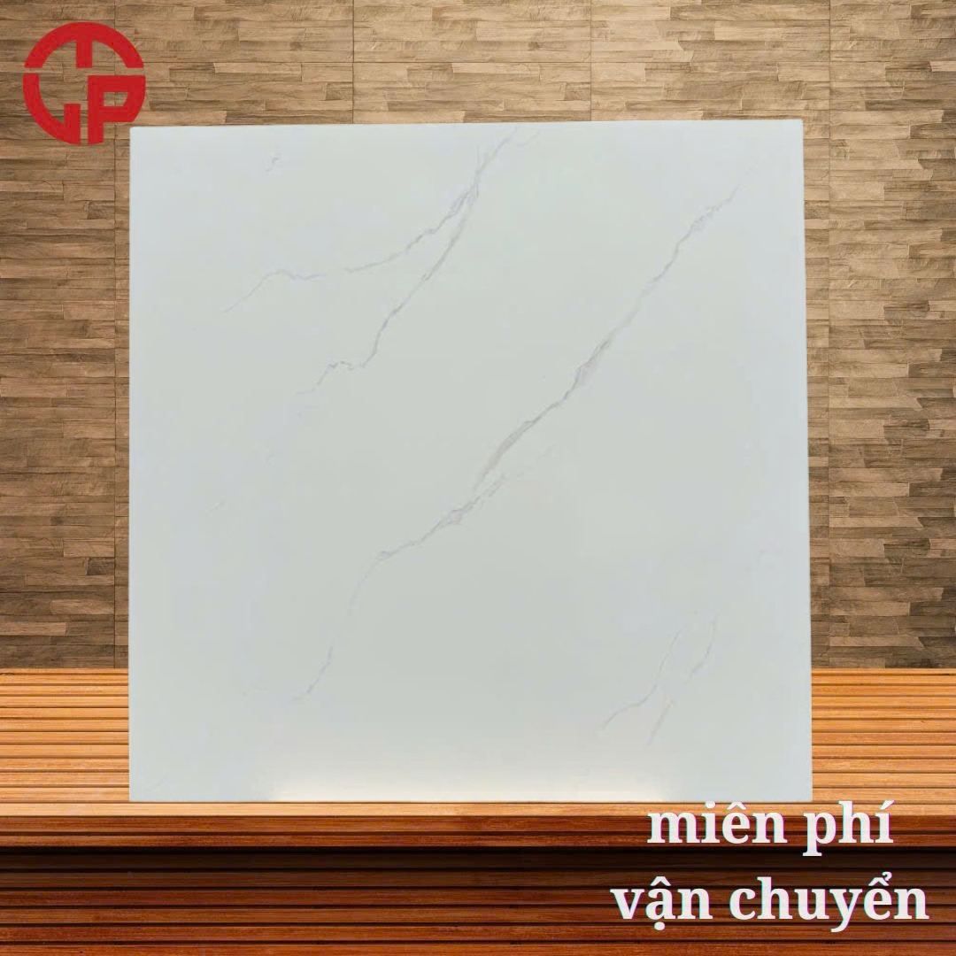 Gạch lát nền 60x60 LTP05 VB66025 3 110k-gach-lat-nen-60x60-TTC-VB66025