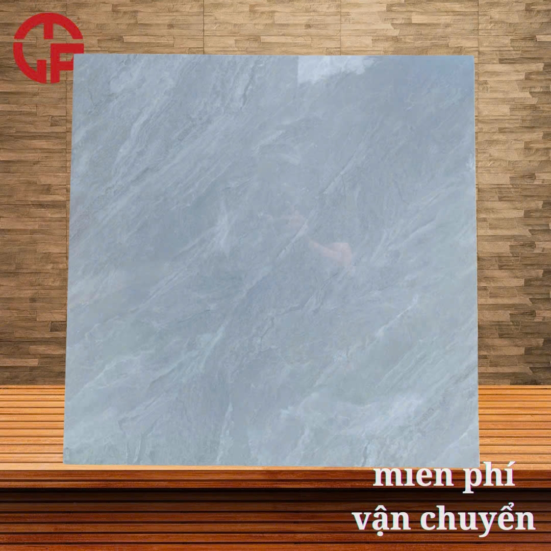 Gạch lát nền 60x60 LTP05 TVN66054 3 145k-gach-lat-nen-60x60-TTC-TVN66054