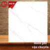 Gạch lát nền 80x80 LTP14 Lustile VNVDN0800800025 1 180k-Gach-lat-nen-80x80-Hoa-Sen-Lustile-VNVDN0800800025