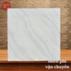 Gạch lát nền 80x80 LTP05 CN88021 2 185k-gach-lat-nen-80x80-TTC-CN88021
