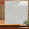 Gạch lát nền 80x80 LTP14 Lustile VNAMY0800800002 1 190k-Gach-lat-nen-80x80-Hoa-Sen-Lustile-VNAMY0800800002