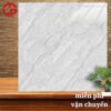 Gạch lát nền 80x80 LTP14 Lustile VNAMY0800800015 2 190k-Gach-lat-nen-80x80-Hoa-Sen-Lustile-VNAMY0800800015