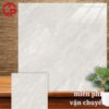 Gạch lát nền 80x80 LTP14 Lustile VNAMY0800800017 1 190k-Gach-lat-nen-80x80-Hoa-Sen-Lustile-VNAMY0800800017