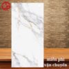 Gạch lát nền 60x120 LTP19 F61248001R 2 295k-Gach-lat-nen-60x120-Y-My-F61248001R