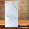 Gạch lát nền 60x120 LTP19 F61248001R1 2 295k-Gach-lat-nen-60x120-Y-My-F61248001R1