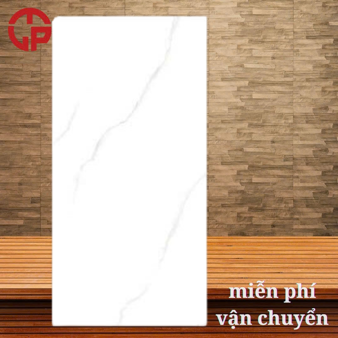 Gạch lát nền 60x120 LTP19 F61248005R 3 295k-Gach-lat-nen-60x120-Y-My-F61248005R