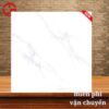 Gạch lát nền 100x100 LTP05 CN10001 1 295k-gach-lat-nen-100x100-TTC-CN10001