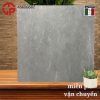 Gạch lát nền Matt 60x60 LTP26 A66SG601 2 225k Gach lat nen matt 60x60 LCP A66SG601