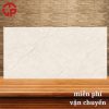 Gạch Ấn Độ 60x120 LTP08 GAM62037 2 285k-Gach-an-do-60x120-Cuong-phat-GAM62037