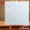 Gạch lát nền 80x80 LTP26 8890 1 285k Gach lat nen 80x80 LCP 8890