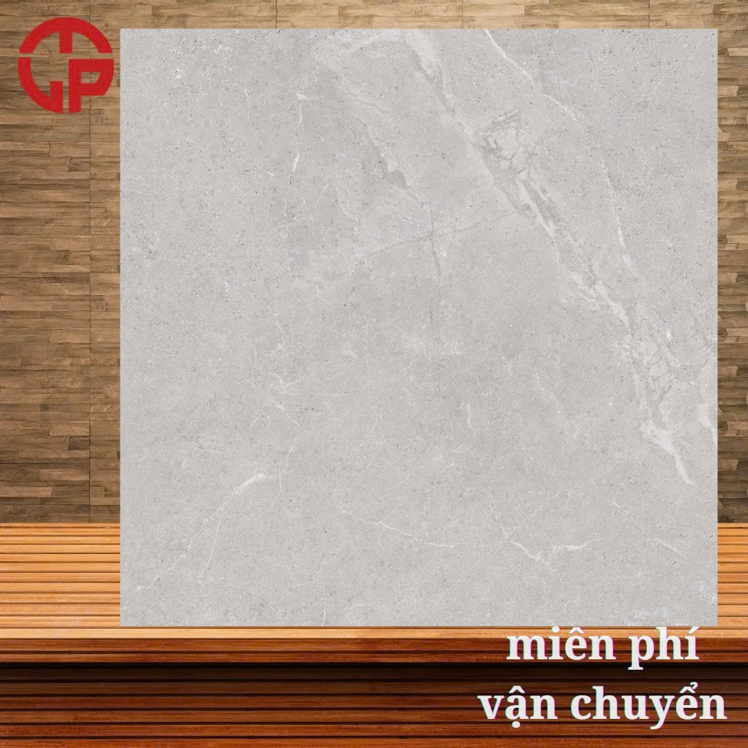 Gạch lát nền 60x60 Taicera G68L08JF 3 290k-Gach-lat-nen-60x60-Taicera-G68L08JF