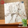 Gạch lát nền 80x80 LTP26 AF10888029 2 320k Gach lat nen 80x80 LCP AF10888029