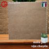 Gạch lát sân vườn 12mm 60x60 LTP26 PA12667008 2 320k Gach lat san vuon 12mm 60x60 LCP PA12667008