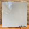 Gạch lát nền Viglacera 100x100 LTP08 VA25 P101006 1 340k Gach lat nen Viglacera 100x100 CP VA25 P101006