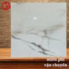 Gạch lát nền 100x100 LTP19 TH101004 1 370k-Gach-lat-nen-100x100-YMY-TH101004