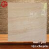 Gạch lát nền 100x100 LTP19 TH101009 1 370k-Gach-lat-nen-100x100-YMY-TH101009