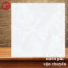Gạch lát nền 50x50 LTP06 FC5001 2 95k-gach-lat-nen-50x50-CP-FC5001